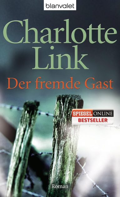 Der fremde Gast: Kriminalroman